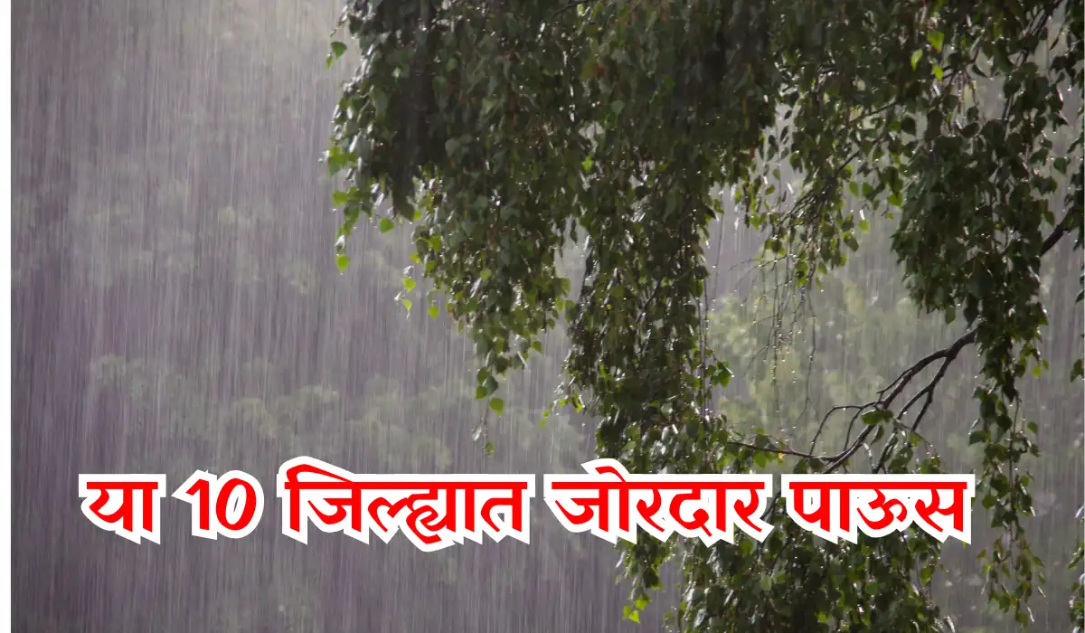 Maharashtra Rain Alert