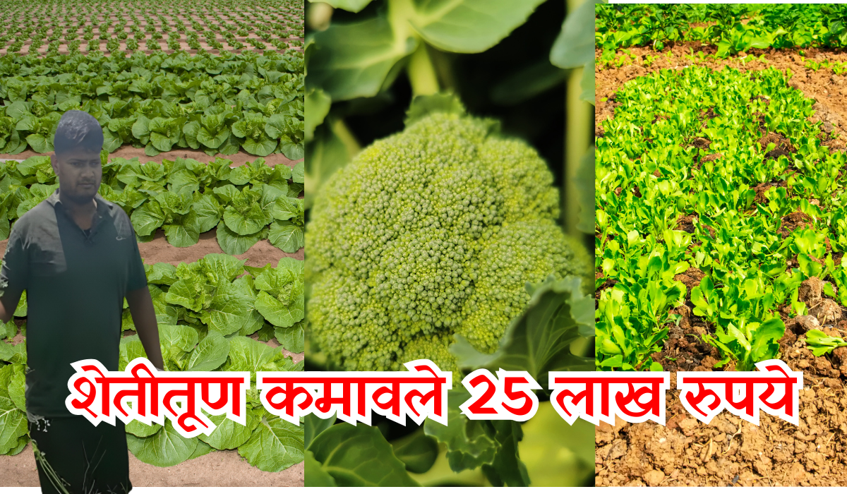 Farmer Success Story